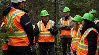 Meet Chris McDonell, Chief Forester from GreenFirst Forest Products