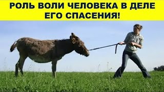 Роль Воли Человека В Деле Его Спасения!