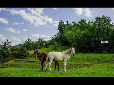 სამარგალო - მეგრული სიმღერა (ანსამბლი \'თამარისი\') Samargalo