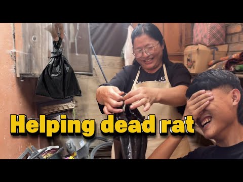 A day with my mom ❤️| helping dead rat🐀 | funny moments | daily vlog