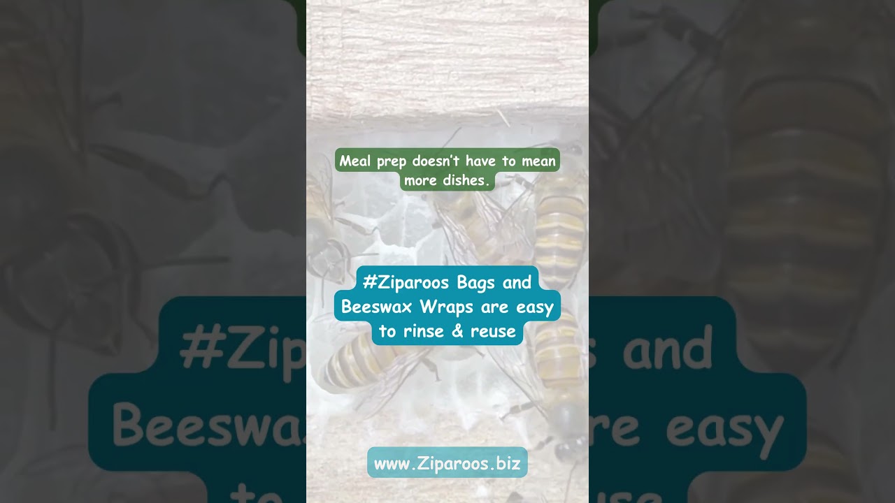 #10 Ditch Plastic, Not the Convenience, Eco-Swaps that work 