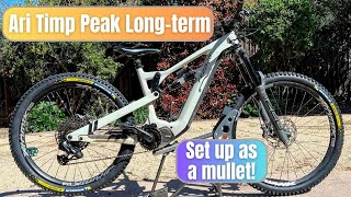 Ari Bikes Timp Peak Longterm Review  170mm travel bike (formerly Fezzari)