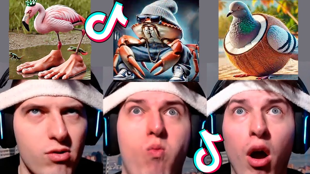 NEW Italian Brainrot Animals 😱 TikTok Compilation (Anatoxich) #39