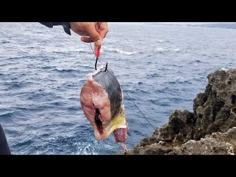 The power of a giant bait! Fishing in Japan