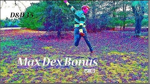 Maximum Dexterity Bonus | Business Manual D&D 3.5e