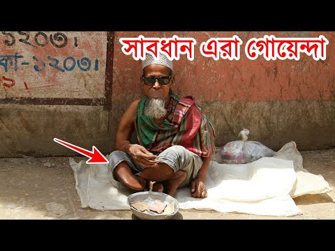 ভিডিও: সংস্থা 