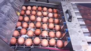 175 Cph Farmpacker Prototype testing