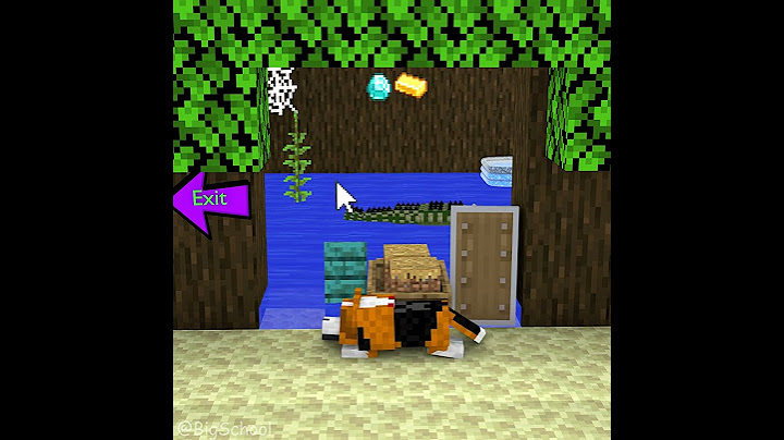 Choose The Item That Can Cover For The Dog To Escape The Crocodile 👍️