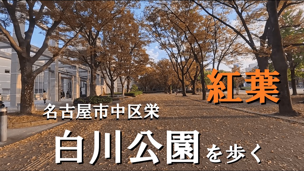 名古屋市の紅葉を求めて白川公園を歩く｜中区栄の都会のオアシスを散歩【名古屋紅葉スポット】