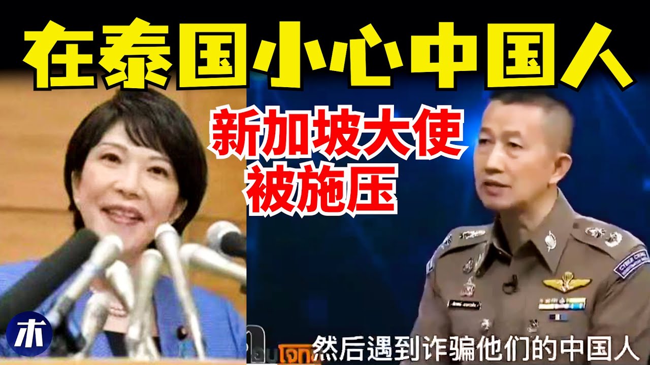 新加坡大使被施压表态，卡日本旅游脖子大翻车，在泰国小心中国人，第一批免签去俄罗斯的中产傻眼了（小木谈天第630期20251219）