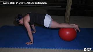 Physio Ball- Plank w/Alt Leg Extension