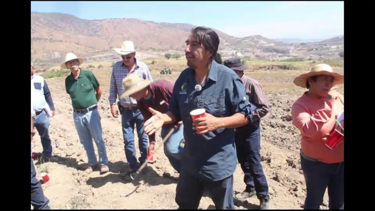 Control de Arvenses SIN Herbicidas