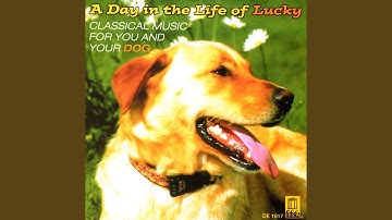 The Gadfly Suite, Op. 97a: III. Folk Festival