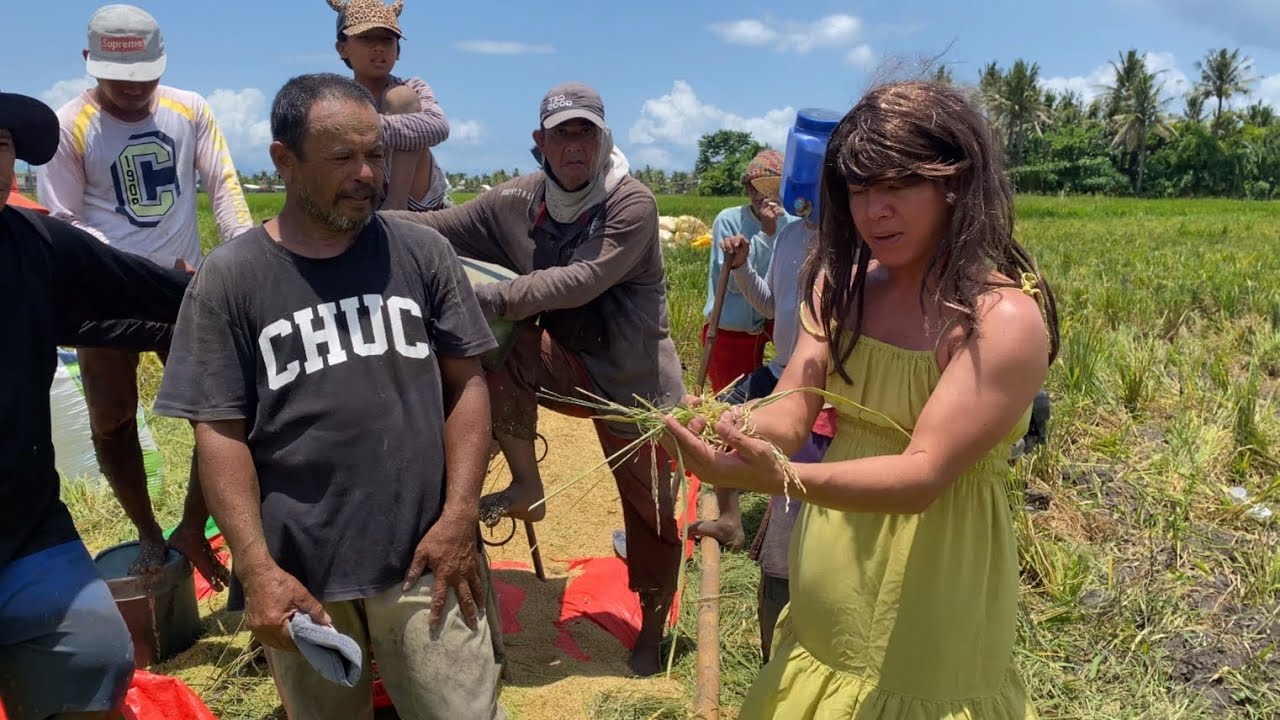 Papatayin ang 3.4million farmers sa pinas, pag natuloy ang 20pesos || hinaing ng magsasaka Panoorin