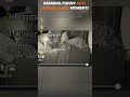 Ranking Funny Cats Surveillance Moments