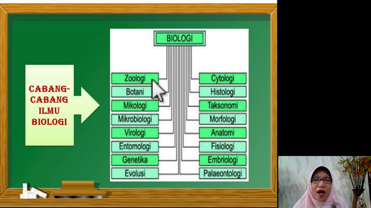 Ruang Lingkup Biologi Dan Perkembangannya Belajar Biologi Bersama - Riset