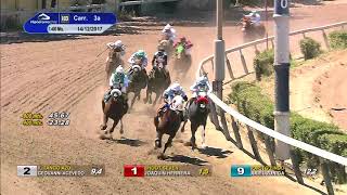 Vidéo de la course PMU PREMIO PALLADIO H.