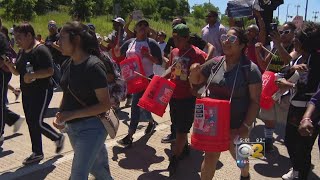 Peace Protest on the Dan Ryan