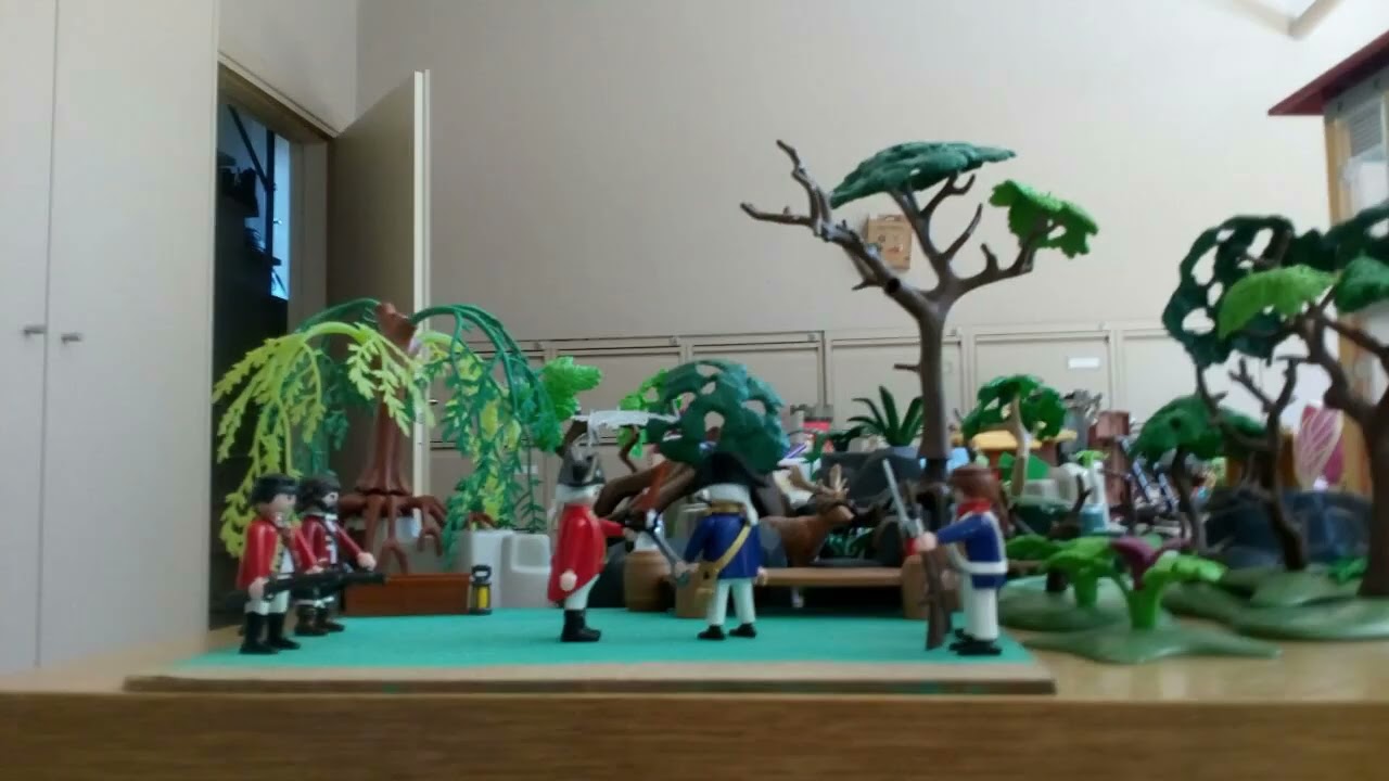 duel in de Caraïben