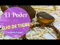 PROPIEDADES DE LA PIEDRA OJO DE TIGRE 