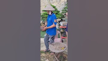 Bonsai Ứng | Giao lưu cùng ace cây duoi. Ace xin liên hệ 0934 094 679 Ứng. Xin cảm ơn !!! #caycomui