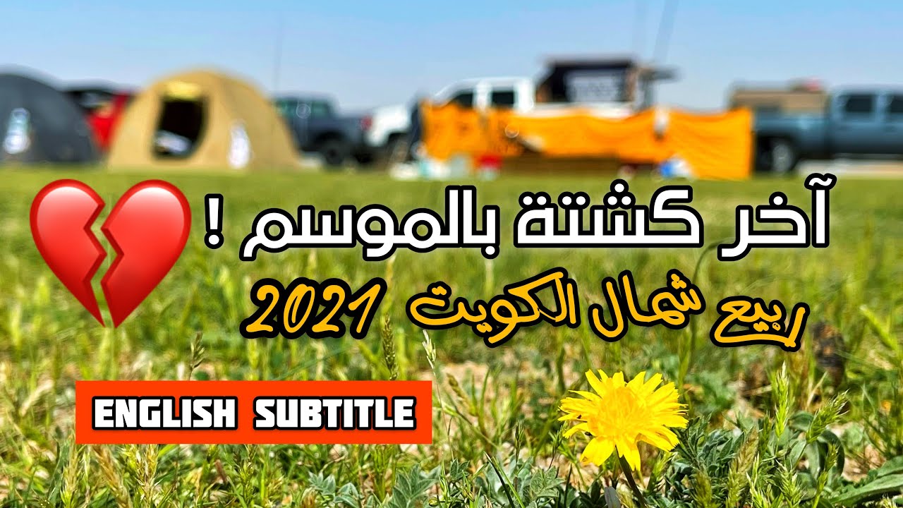 ربيع الكويت - آخر كشتة بالموسم 💔😩! 2021