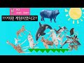 동물로 탑 쌓는 게임ㅋㅋ 일본 고인물들 파괴하기 개꿀잼 동물로 탑 쌓는 게임ㅋㅋ 일본 고인물들 파괴하기 개꿀잼