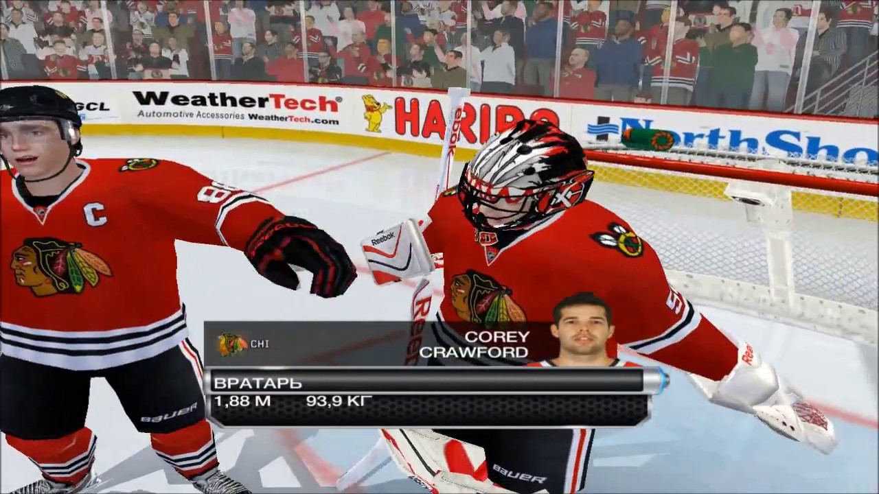 nhl 2009 pc