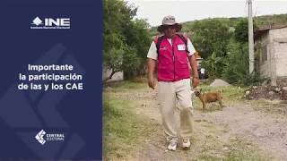 CENTRAL ELECTORAL NOTICIAS