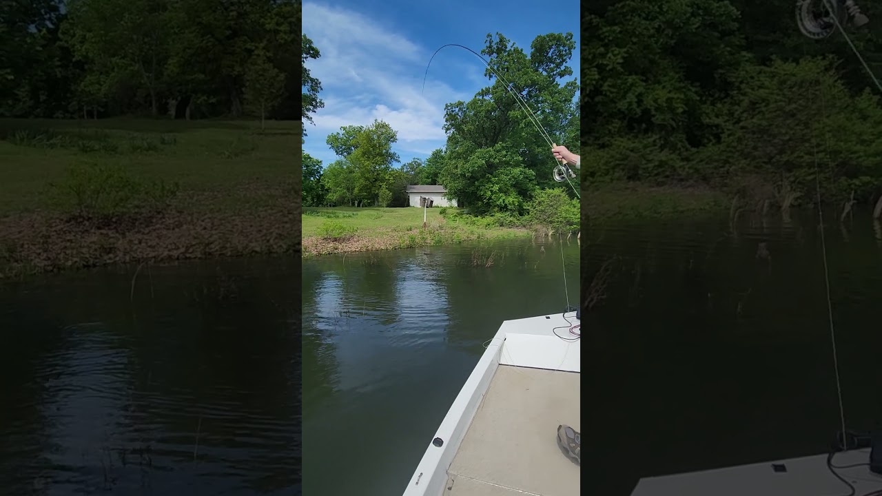 Lake Fork Fly Fishing. Fly fishing for big bass on Lake Fork . flyfishfork.com