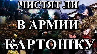 Стереотипы Об Армии