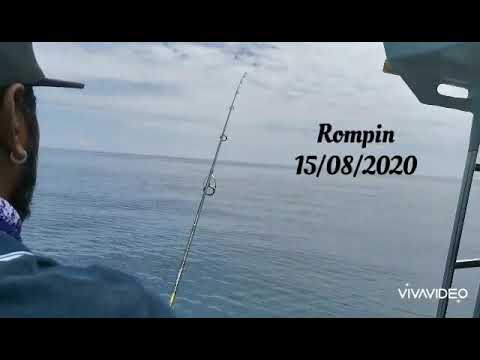 predator rod and reel combo