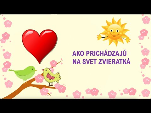 Video: Ako Zvieratá Vnímajú Svet