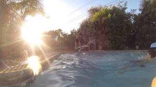 Pool Shenanigans at Jason's