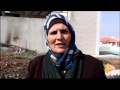 فلسطينية تزرع المدارس والمنازل