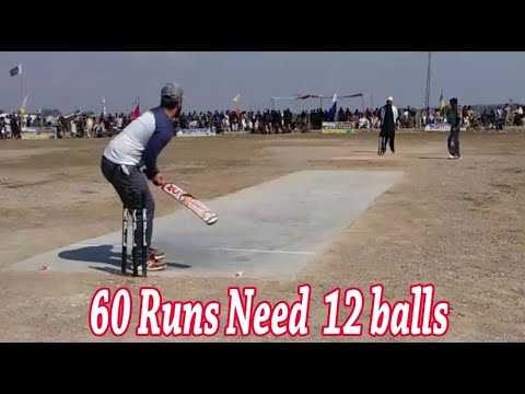 60 Runs Need in 12 Balls Best Match In Cricket History Ever - YouTube