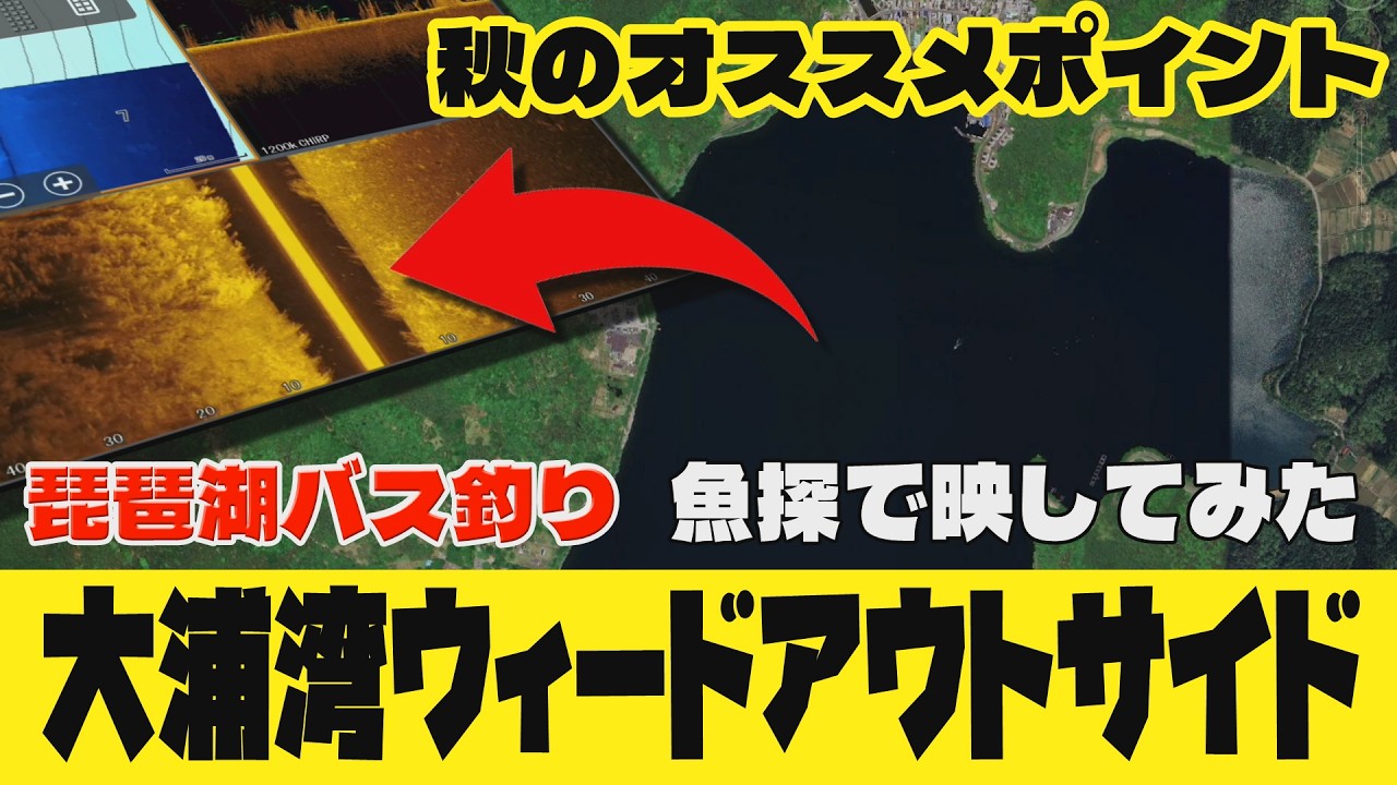 スキャンファイル＃02　大浦湾ウィードエリア　ローランス魚探で読む琵琶湖バス釣りポイント【魚探エレキマニュアル】バスフィッシング　バスボート　GPS魚探　ライブソナー　ノースウェーブ