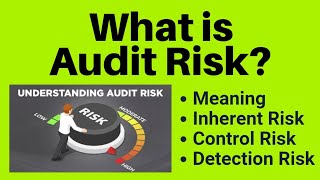 Audit Risk ( Inherent Risk | Control Risk | Detection Risk) By Knowledge Topper