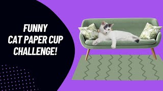 Funny Cat Paper Cup Challange || ROUND 1