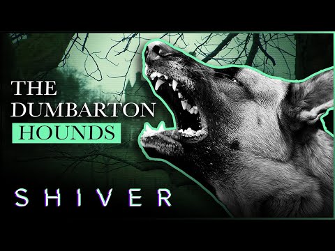 GHOST HUNTERS' EXPEDITION: UNEXPLAINED ANIMAL DEATHS