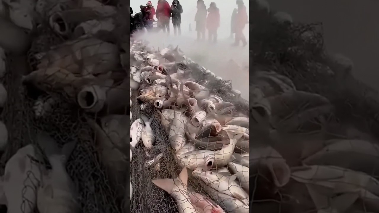 baap rey ye kya hai😟...