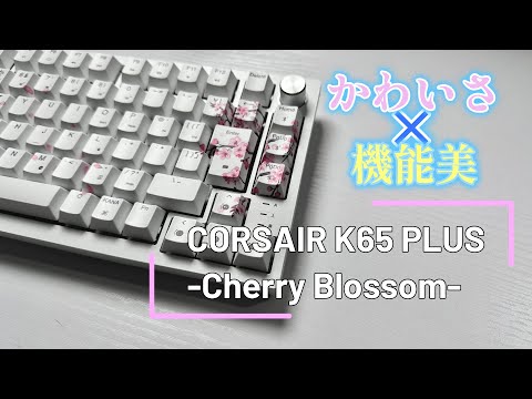 A teardown and review of the perfect cherry blossom keyboard