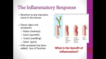 BIO 304 Host Defenses Nonspecific Ch 14