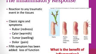 BIO 304 Host Defenses Nonspecific Ch 14