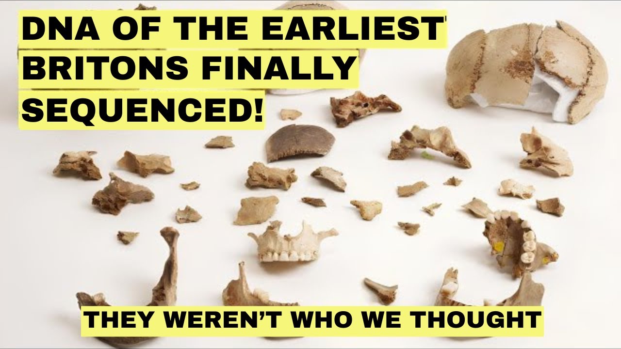 Oldest DNA From Britain Changes Everything About Its Earliest Inhabitants!