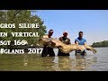 Gros combat silure 222m kevin hernandez  en vertical dans le rhne sgt1662017