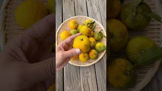 Grandma's Yuzu Marmalade Recipe