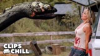 The Anaconda Attacks Before She Even Knows Anaconda 3 Offspring David Helhoff
