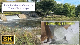 Corbett's Dam Fish Ladder - 8K