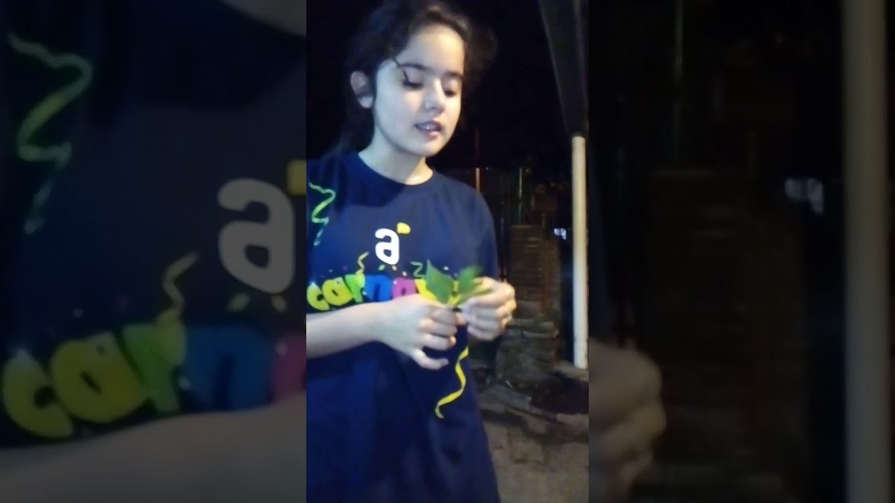 flor que da fulgor YouTube